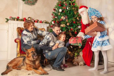 sevecen bir baba, büyüleyici bir anne ve tatlı kızları bir sandalyeye, kendi ayakları üzerinde büyük bir çoban oturuyor, Noel için dekore edilmiş oda zevk ve hediyeler Noel Baba'dan alır
