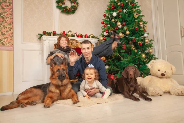 Egy Szép Nagy Karácsonyfa Közelében Ült Szerető Családban Egy Szobában — Stock Fotó