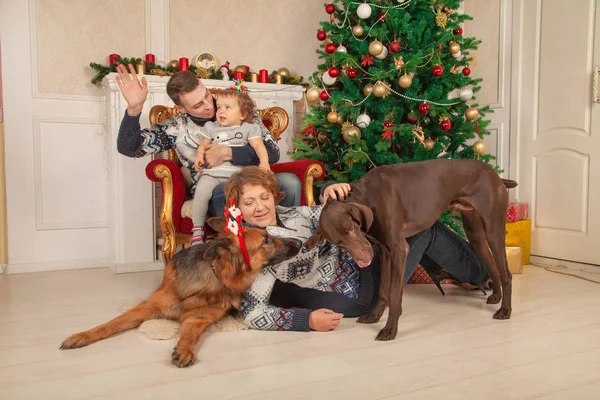 sevgi dolu bir odada aile için yeni yıl, güzel büyük Noel ağacının yanında oturan dekore edilmiş