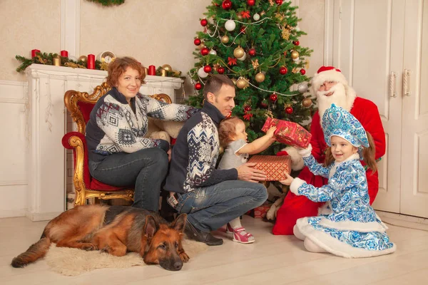 sevecen bir baba, büyüleyici bir anne ve tatlı kızları bir sandalyeye, kendi ayakları üzerinde büyük bir çoban oturuyor, Noel için dekore edilmiş oda zevk ve hediyeler Noel Baba'dan alır