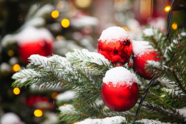 Noel ağaçları gerçek kar renkli topları ile dekore edilmiş