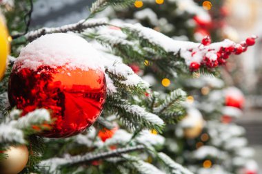 Güzel dekore edilmiş Noel ağacı