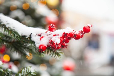 Noel ağaçları gerçek kar renkli topları ile dekore edilmiş