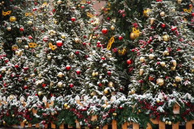 Güzel dekore edilmiş Noel ağacı