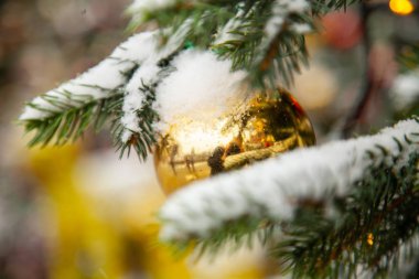 Güzel dekore edilmiş Noel ağacı