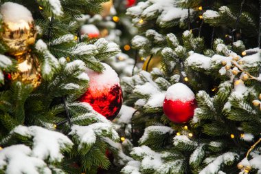 Güzel dekore edilmiş Noel ağacı