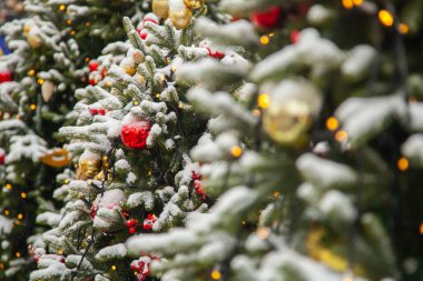 Güzel dekore edilmiş Noel ağacı