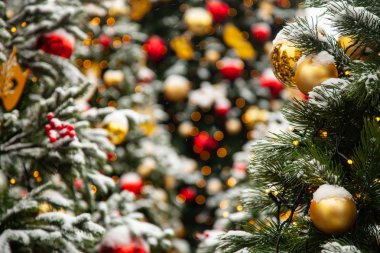 Güzel dekore edilmiş Noel ağacı