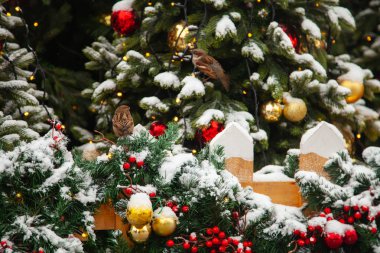 Güzel dekore edilmiş Noel ağacı