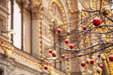 Noel ağaçları gerçek kar renkli topları ile dekore edilmiş