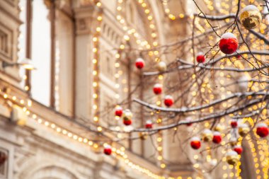 Noel ağaçları gerçek kar renkli topları ile dekore edilmiş