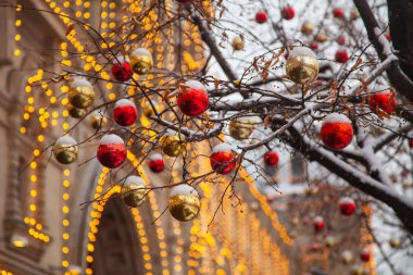 Noel ağaçları gerçek kar renkli topları ile dekore edilmiş