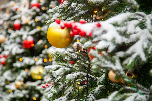 Noel ağaçları gerçek kar renkli topları ile dekore edilmiş