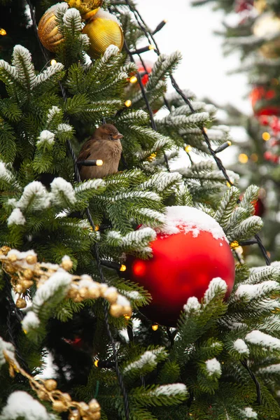 Beautiful Decorated Christmas Tree — Stock Photo, Image