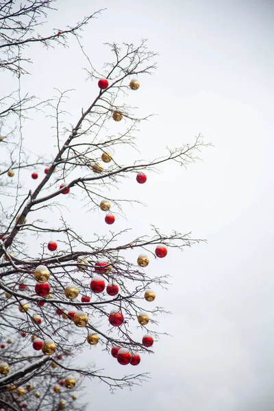 Beautiful Decorated Christmas Tree — Stock Photo, Image