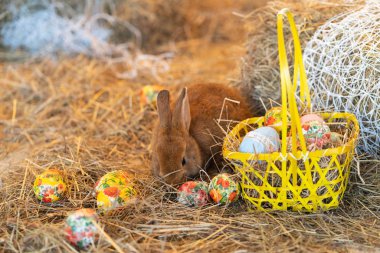 Bunny Paskalya arifesinde saman içinde