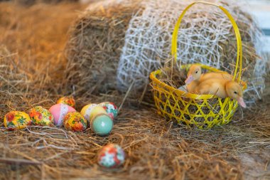şirin yeni doğan sarı ördekler kuşlar saman Paskalya arifesinde bir arka plan üzerinde