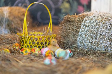 şirin yeni doğan sarı ördekler kuşlar saman Paskalya arifesinde bir arka plan üzerinde