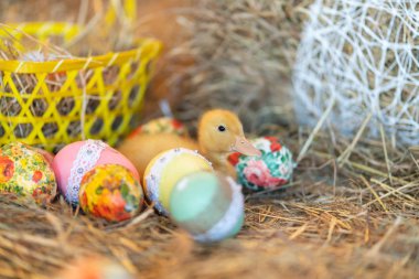 şirin yeni doğan sarı ördekler kuşlar saman Paskalya arifesinde bir arka plan üzerinde