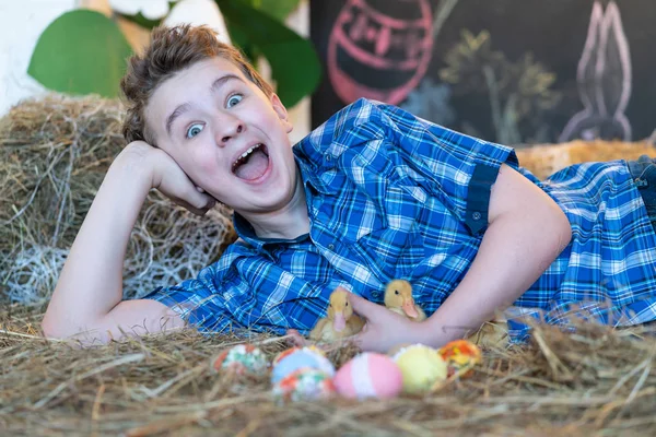 Teen Pojke Blå Rutig Skjorta Med Gula Nyfödda Gäss Bakgrund — Stockfoto