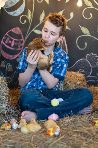 Niño Lindo Sentado Heno Jugando Con Conejo Gris Gansos Recién —  Fotos de Stock