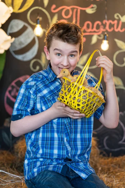 Έφηβος Αγόρι Μπλε Καρό Πουκάμισο Κίτρινο Νεογέννητο Χήνες Σχετικά Σανός — Φωτογραφία Αρχείου
