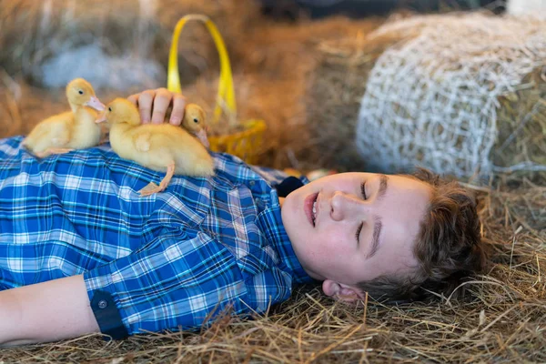 Έφηβος Αγόρι Ξαπλωμένος Σανό Κίτρινα Παπάκια Στο Στομάχι Του Και — Φωτογραφία Αρχείου