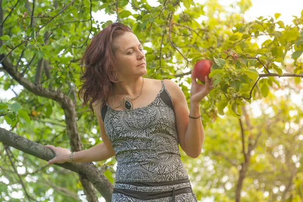 Sorrindo Menina Alternativa Cabelos Vermelhos Com Passeios Raspados Pomar Maçã — Fotografia de Stock