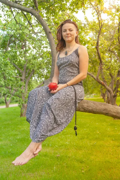 Sorrindo Menina Alternativa Cabelos Vermelhos Com Passeios Raspados Pomar Maçã — Fotografia de Stock