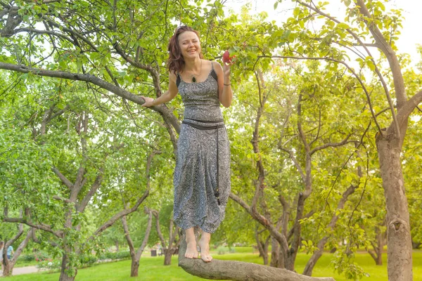 Kızıl saçlı alternatif kız güneşli elma bahçesi traş yürüyüşleri ile bir güneşli yaz gününde gülümseyen