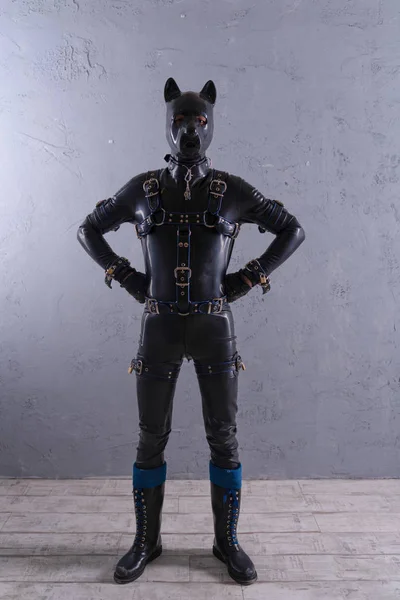 siyah lateks adam gri arka plan üzerinde fetiş Köpek Kostüm giymiş