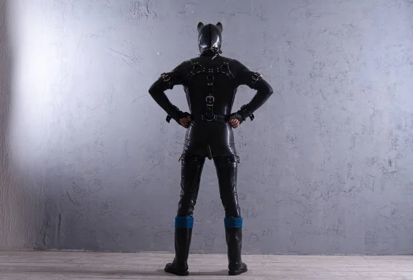 Černé Latexové Muž Oblečený Kostýmu Psa Fetiš Šedém Pozadí — Stock fotografie
