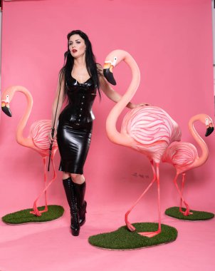flamingo kuşları ile pembe arka plan üzerinde poz bdsm giysili güzel fetiş kadın