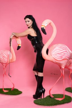 flamingo kuşları ile pembe arka plan üzerinde poz bdsm giysili güzel fetiş kadın