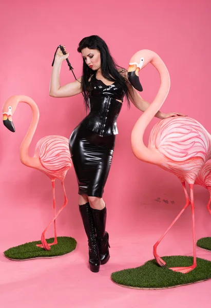 Szép Fétis Bdsm Ruhák Pózol Rózsaszín Háttér Flamingo Madarak — Stock Fotó