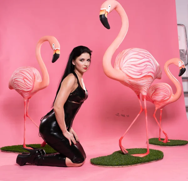 Lovely Fetish Woman Bdsm Clothes Posing Pink Background Flamingo Birds — Stock Photo, Image