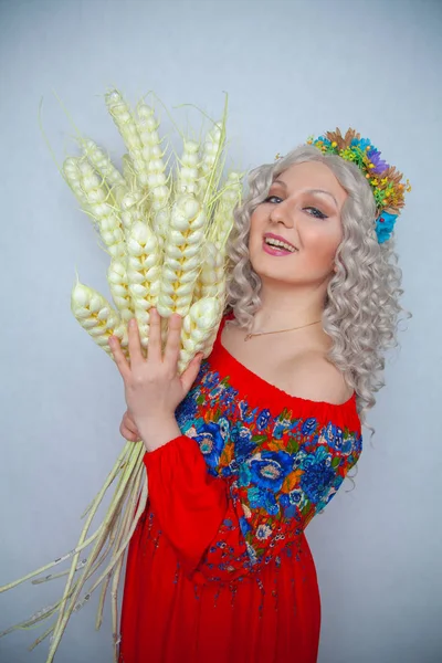 Schöne Mollige Blonde Mädchen Rotem Kleid Mit Weizenstrauß Auf Weißem — Stockfoto