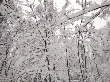 bir büyük yoğun kar yağışı sonra