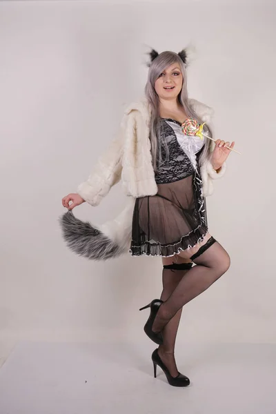 sexy chubby girl wearing maid transparent lingerie dress and wolf ears with furry tail on white background alone