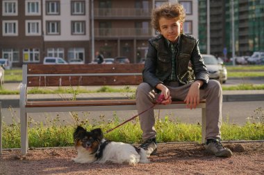 üzgün yalnız adam köpeği ile bir bankta oturuyor. iletişim kavramında ergenliğin zorlukları.