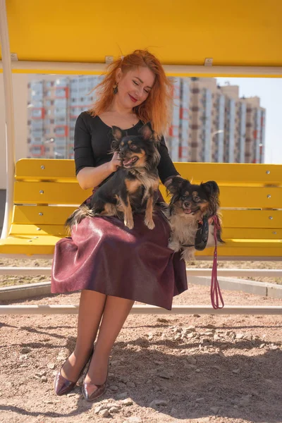 黄色の夏のベンチに2匹の小さな犬を持つかなり幸せな赤毛の女性 — ストック写真