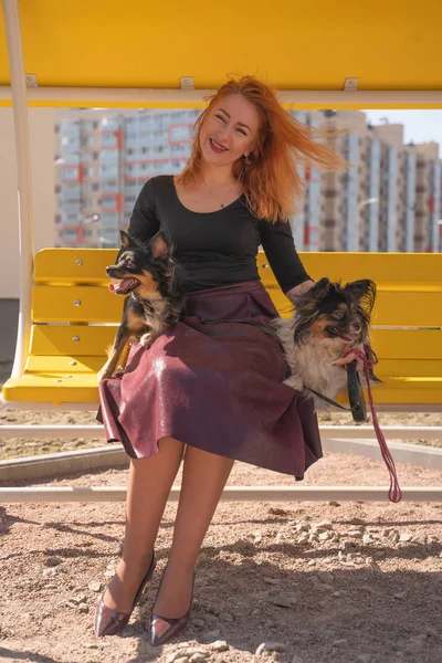 Mulher Ruiva Muito Feliz Com Dois Cães Pequenos Banco Verão — Fotografia de Stock