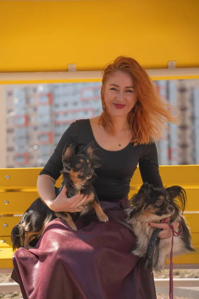 Šťastná Rusovlasá Žena Dvěma Malými Psy Žluté Letní Lavičce — Stock fotografie