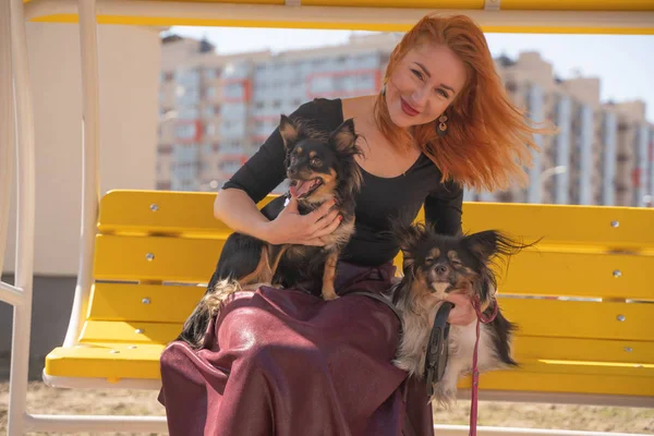 Mulher Ruiva Muito Feliz Com Dois Cães Pequenos Banco Verão — Fotografia de Stock