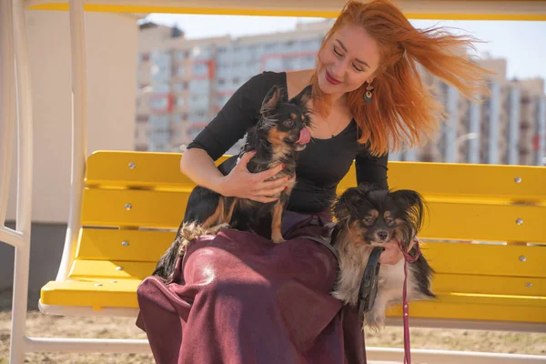 Šťastná Rusovlasá Žena Dvěma Malými Psy Žluté Letní Lavičce — Stock fotografie