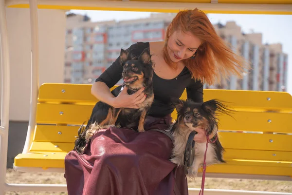Αρκετά Χαρούμενη Κοκκινομάλλα Γυναίκα Δύο Μικρά Σκυλιά Στο Κίτρινο Καλοκαιρινό — Φωτογραφία Αρχείου