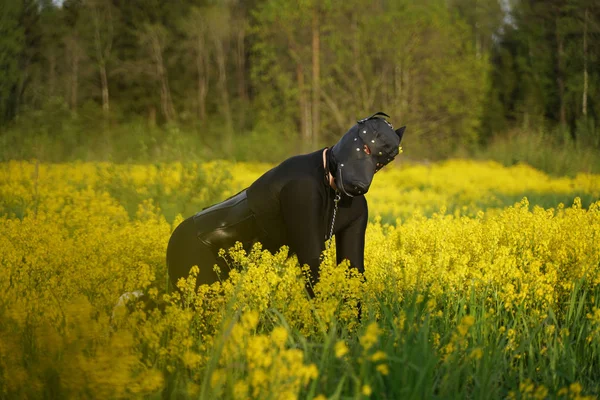 Sexy Submisso Homem Vestindo Spandex Preto Catsuit Máscara Couro Cão — Fotografia de Stock