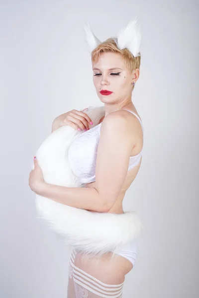 性感好玩的小猫女孩加上大小的身体在白色色情内衣 蕾丝丝袜和毛皮耳朵蓬松的尾巴摆姿势在白色背景在工作室单独 — 图库照片