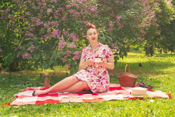 Querida Encantadora Garota Pinup Vestido Verão Cobertor Xadrez Parque Perto — Fotografia de Stock