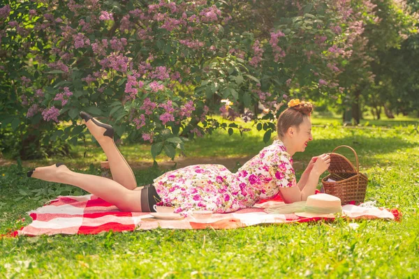 Älskling Charmig Pinup Flicka Sommarklänning Rutig Filt Parken Nära Buskar — Stockfoto